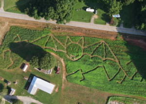10/01-10/31 -  Black's Peaches and Bakery Fall Festival
