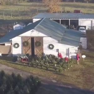 11/20 - 12/21 Cedar Lake Christmas Tree Farm