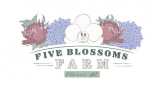 Five Blossoms Farm You Pick Your Own Flowers (By appointment only)