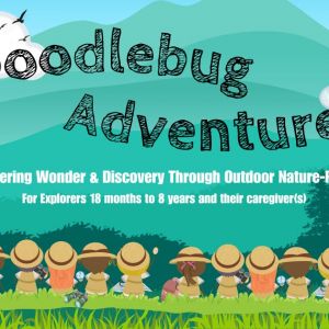 Doodlebug Adventures