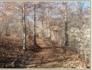 Buffalo Creek Preserve Trail