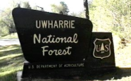 Uwharrie National Forest Campgrounds
