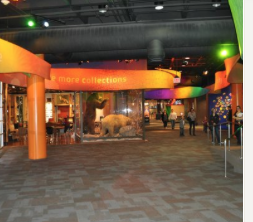 Discovery Place