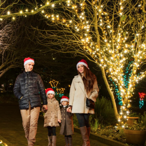 11/28-12/27 -  Holidays at the Garden