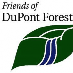 DuPont State Recreational Forest
