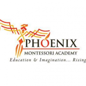 Phoenix Montessori Academy Athletics